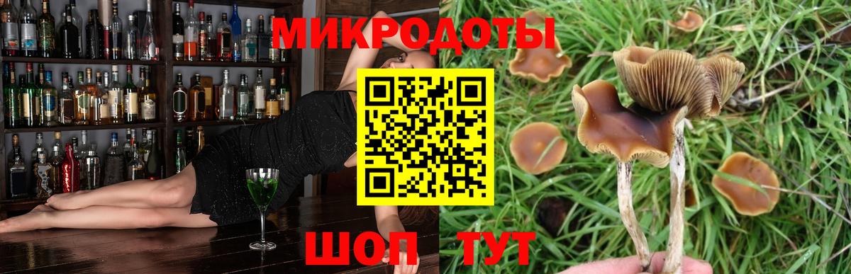 Псилоцибиновые грибы мухоморы  Псилоцибиновые грибы прущие грибы  купить наркоту  Южноуральск  Вход с VPN 